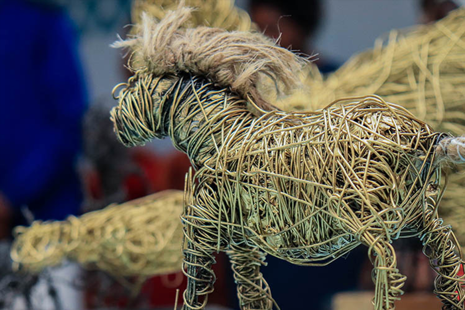 Spotlight — Equinox Collection by Shane Griffin